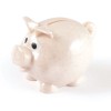 Tiny Eco Piggy Banks Angle